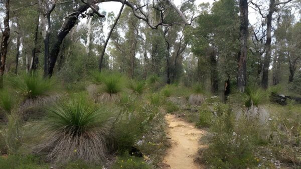 Little eagle view walk (9km)