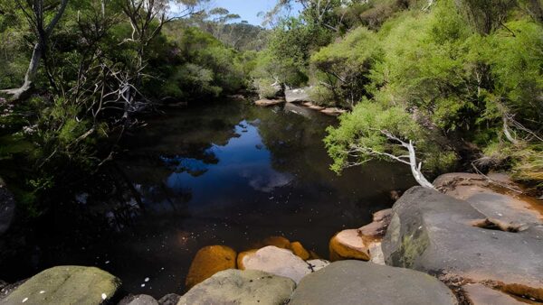 Griffiths Walking Track (8km) Griffiths walking track (8km)