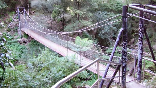 Jenolan river walking track (2. 1km)