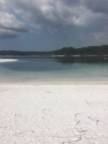 Trail hiking kingfisher bay resort lake mckenzie return route 1 scaled 450x600