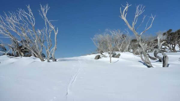 Wheatley circuit hike (7. 3km)