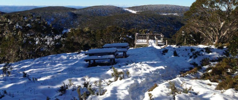 Mount Baw Baw Summit Walk (3.5km) Baw baw summit 768x325