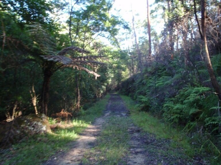 Darri Track (4.2km) Darri track 768x576
