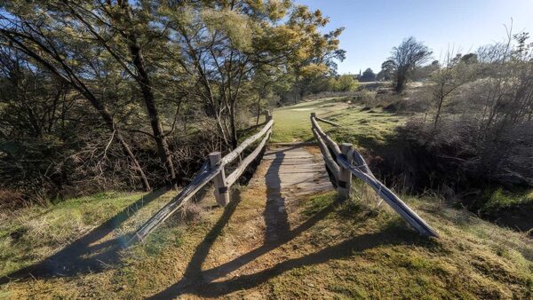 Bald Hill Walking Track (4km) Bald hill walking track (4km)