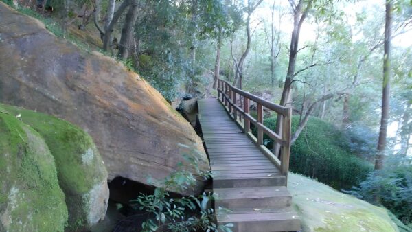 Circular quay to hornsby hike (44. 4km)