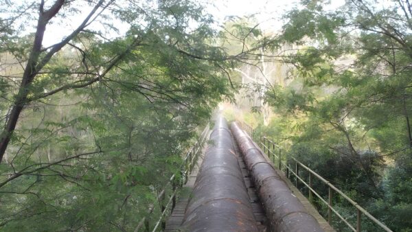 Epping to gordon station hike (11. 7km)