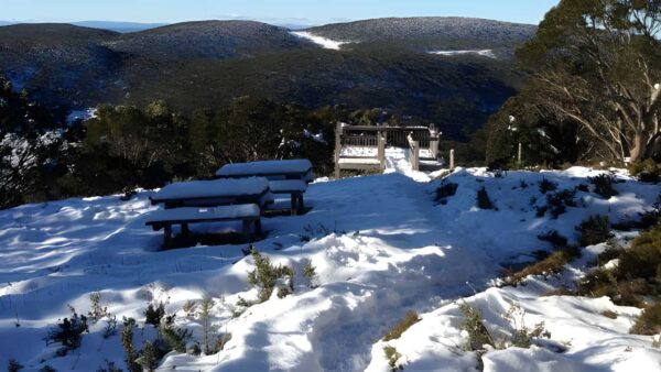 Mount baw baw summit walk (3. 5km)