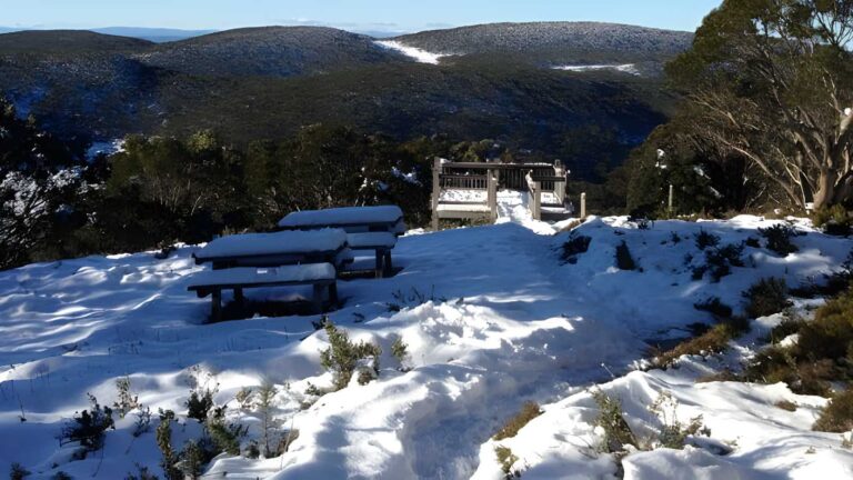 Mount Baw Baw Summit Walk (3.5km) Mount baw baw summit walk (3. 5km)