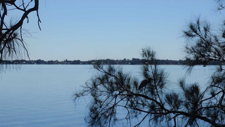 Tuggerah Lake Vista & Rainforest Walk (1.8km) Tuggerah lake vista & rainforest walk (1. 8km)