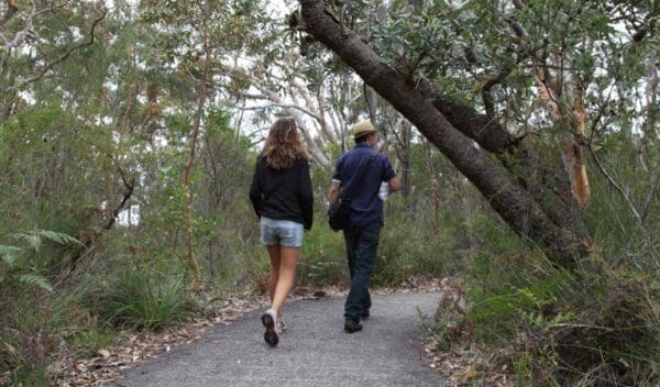 Jennifer Street Boardwalk (700m) Bungoona lookout and path trail hiking australia 600x352