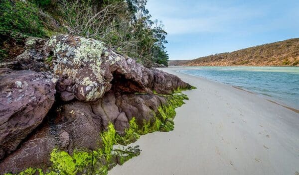 Pambula river walking track trail hiking australia 600x352