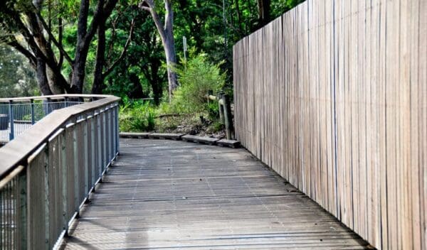 Riverside walking track trail hiking australia 600x352