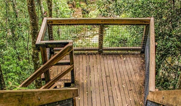 248 Trail Walk (2.5km) Somersby falls walking track trail hiking australia 600x352