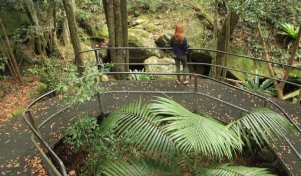 The falls walk trail hiking australia 600x352