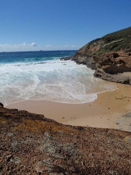 Timber beach 450x600