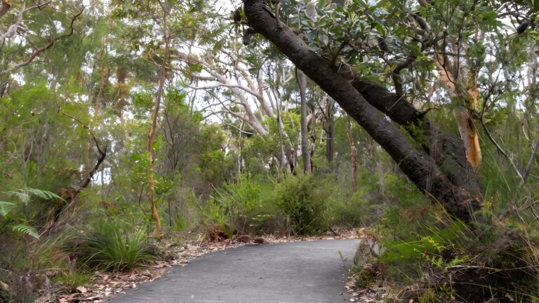 Bungoona lookout & path walk (900m)