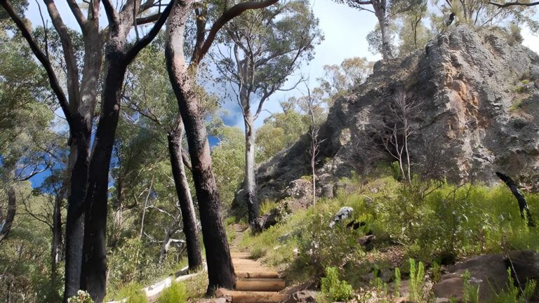 Mount Coryah Walking Track (2km) Mount coryah walking track (2km)
