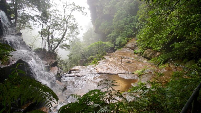 National Pass from Wentworth Falls to Conservation Hut Walk (3.6km) National pass from wentworth falls to conservation hut walk (3. 6km)