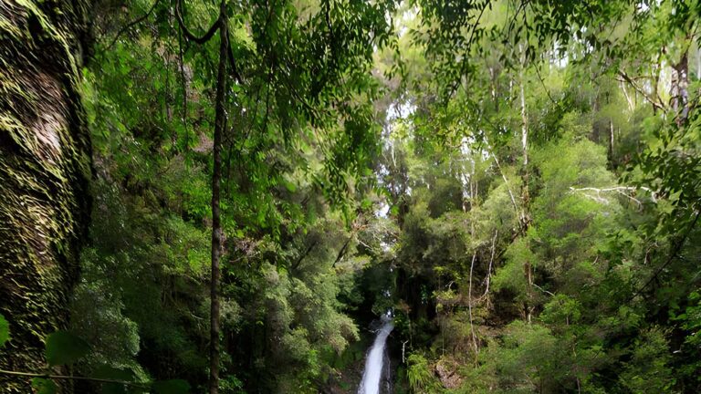 Rawlinson Falls Hike (18km) Rawlinson falls hike (18km)