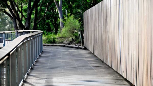 Riverside walking track (5km)