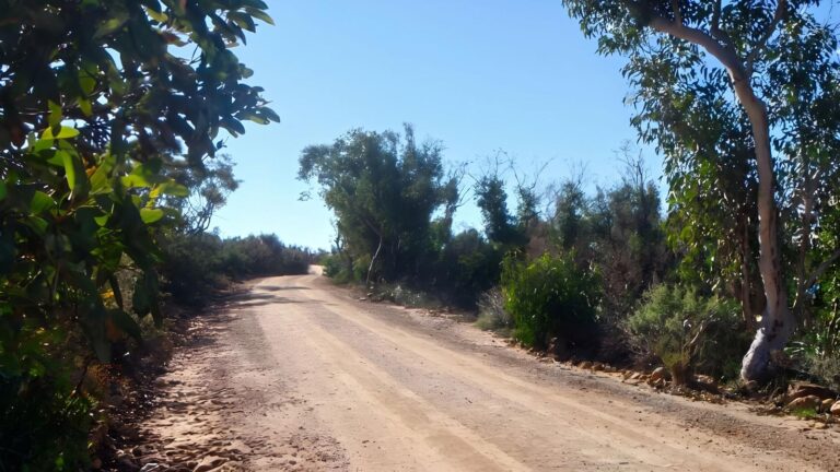 The Basin Track & Mackerel Track (9.6km) The basin track & mackerel track (9. 6km)