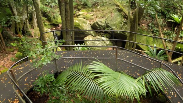 The Falls Walk (4.2km) The falls walk (4. 2km)