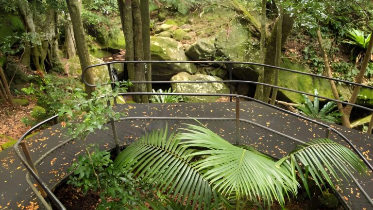The Falls Walk (4.2km) The falls walk (4. 2km)