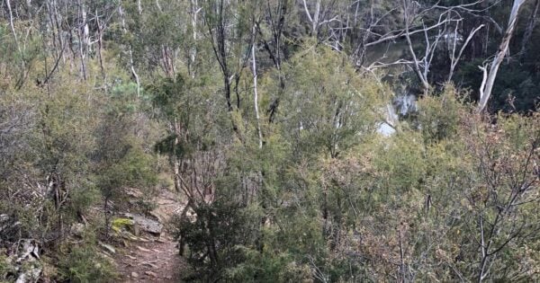 Plenty Gorge River Hike (21km) Trail hiking jumping creek reserve to black flat and stonehouse cafe 600x315