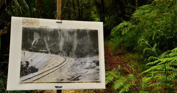 Trail hiking walk into history high lead to powelltown via reids tramline 600x315