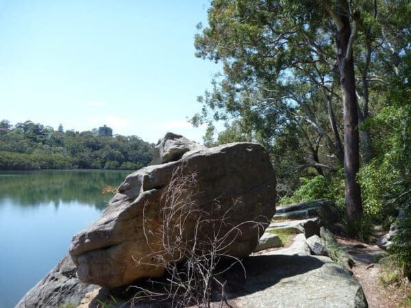 Boronia park to north ryde 600x450