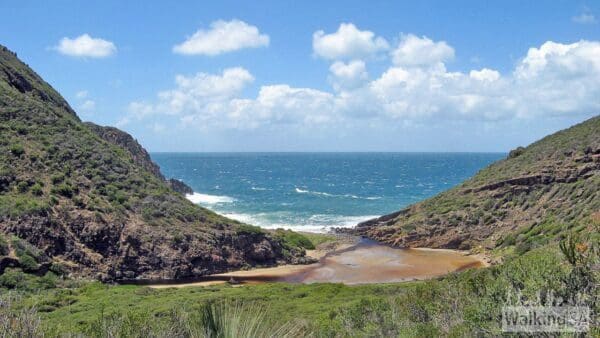 Boat Harbor Hike (7.8km) Deep creek circuit 600x338