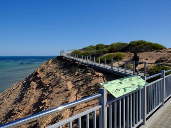 Eagle bluff boardwalk 600x450