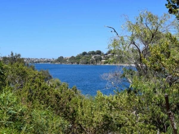 Jenna biddi yorga 600x450