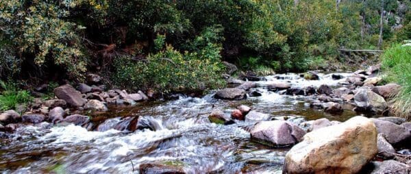Hikes Mcmillians walking track trail hiking australia 600x254