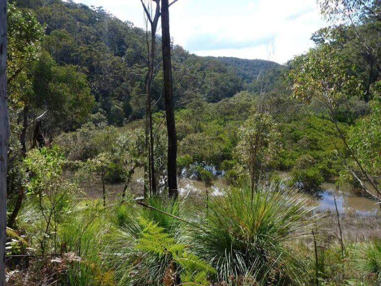 The perimeter trail to smiths creek 768x576