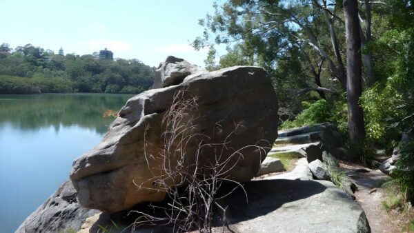 Boronia Park to North Ryde Hike (7.2km) Boronia park to north ryde hike (7. 2km)