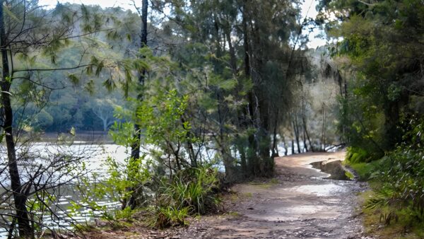 Davidson park to stepping stone crossing walk (5. 2km)
