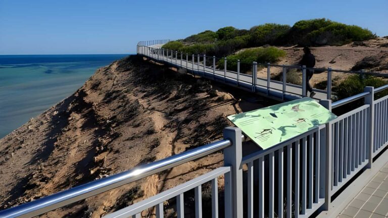 Eagle bluff boardwalk (400m)