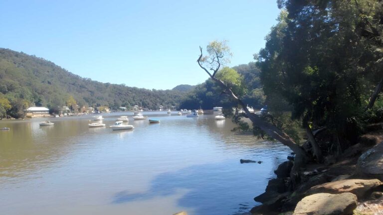 Mount kuring-gai to cowan - berowra waters hike (17. 2km)