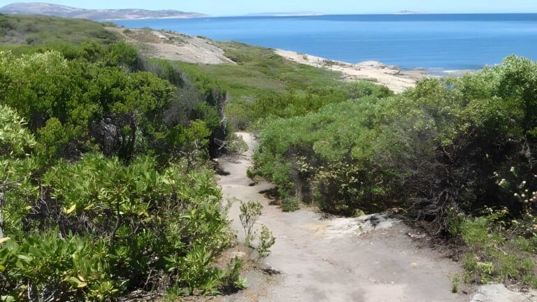 Skinny Dip Bay Walk (1.5km) Skinny dip bay walk (1. 5km)