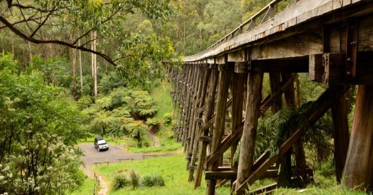 Noojee trestle bridge rail trail