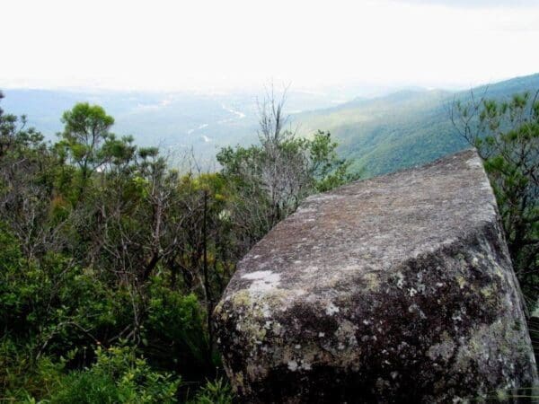 Cloudy creek walk 600x450