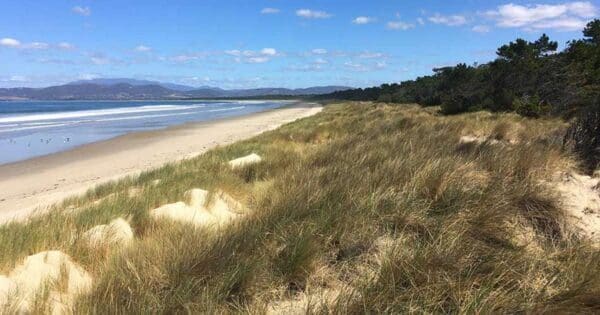 Bivouac Bay Walk (10km) Seven mile beach 600x315