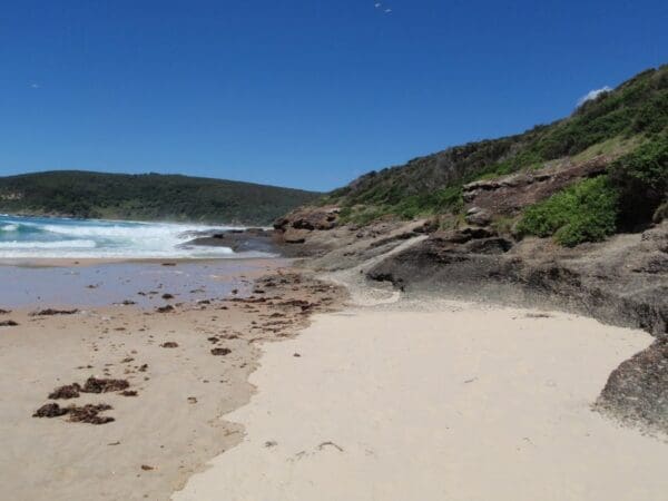 Snapper point beach 600x450
