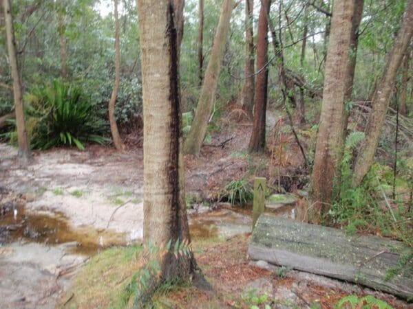 Wondabyne station to somersby store 600x450