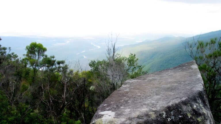 Cloudy Creek Walk (4km) Cloudy creek walk (4km)