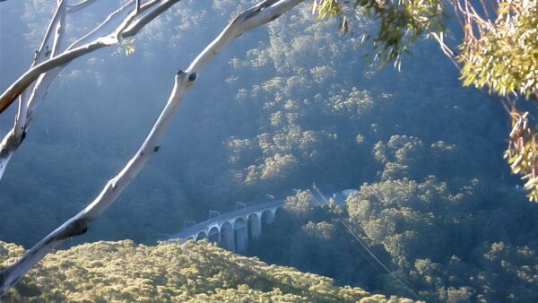 Forest walk to sublime point track (14km)
