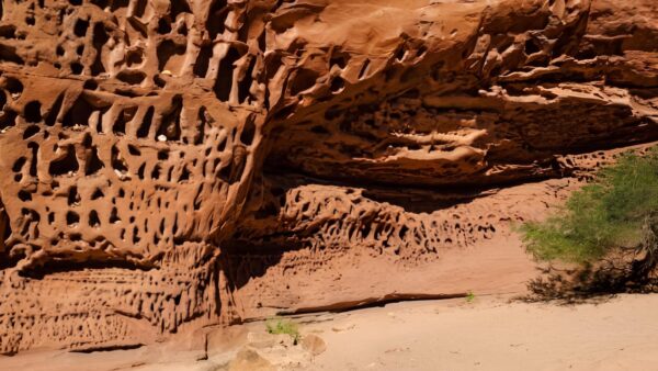Honeycomb gorge trail walk (500m)