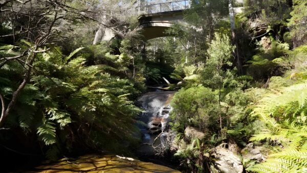 Leura Cascades Fern Bower Walk (4.5km) Leura cascades fern bower walk (4. 5km)