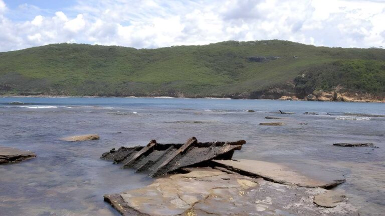 Maitland Bay Shipwreck Track (3.9km) Maitland bay shipwreck track (3. 9km)